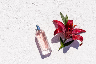 Similar image 21858862