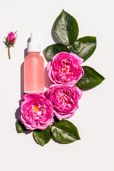 Similar image 21858866