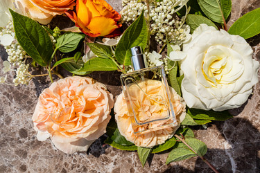 Similar image 21858870