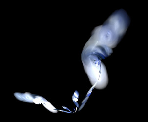 Similar image 21867654