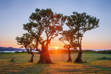 Similar image 21866401