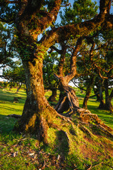 Similar image 21866404