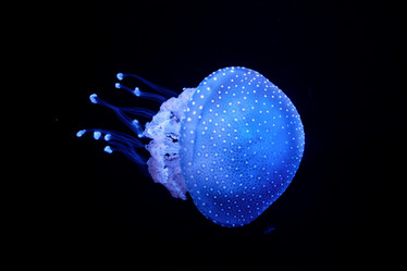 Similar image 21866480