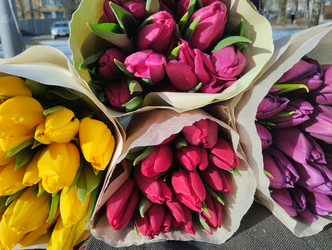 Similar image 21866322