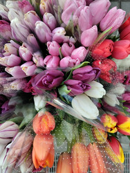 Similar image 21866323