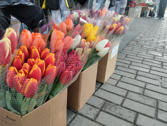 Similar image 21866324