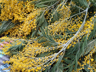 Similar image 21866325