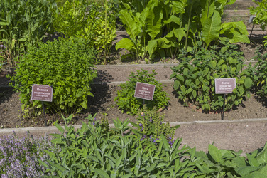 Similar image 21857528