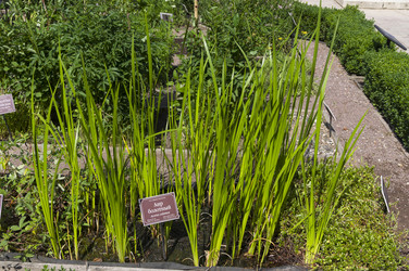 Similar image 21857529