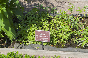 Similar image 21857530