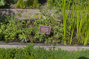 Similar image 21857531