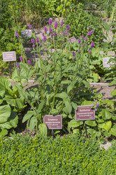 Similar image 21857532