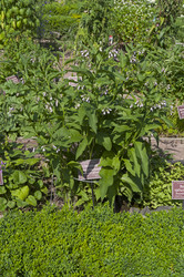 Similar image 21857533