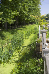 Similar image 21857534