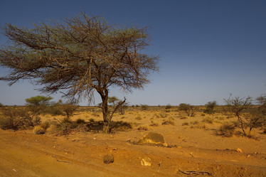 Similar image 21872229