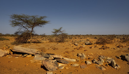 Similar image 21872230