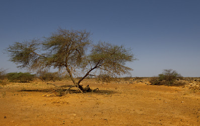 Similar image 21872232