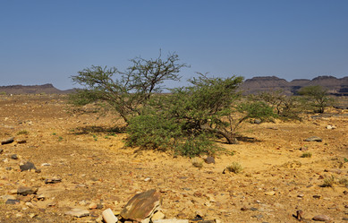 Similar image 21872233