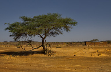 Similar image 21872234