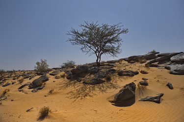 Similar image 21872236