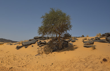 Similar image 21872238