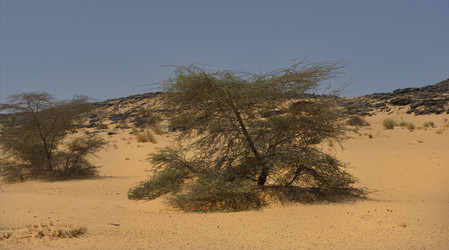 Similar image 21872239