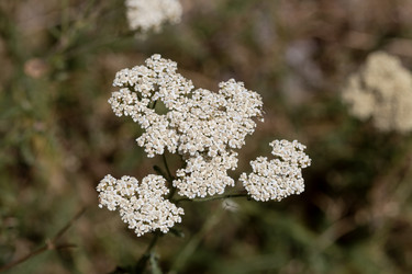 Similar image 21858215