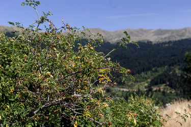 Similar image 21858216