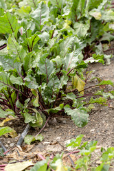 Similar image 21858218