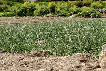 Similar image 21865629