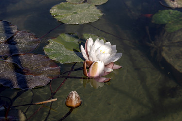 Similar image 21868371