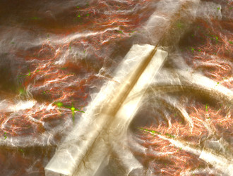 Similar image 21876338