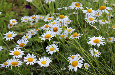 Similar image 21867381