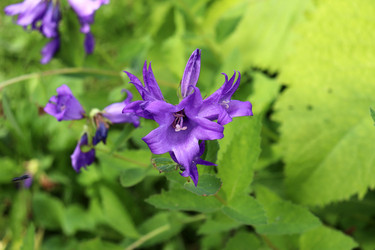 Similar image 21858221