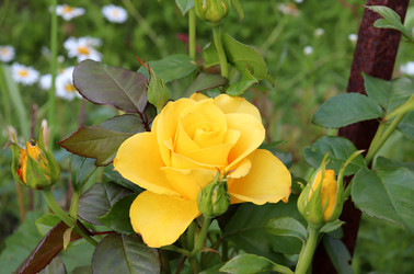 Similar image 21858222