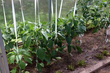 Similar image 21867384