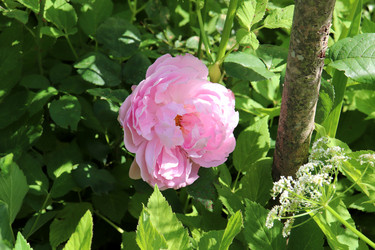 Similar image 21867385