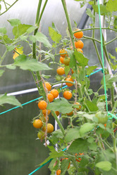 Similar image 21858223