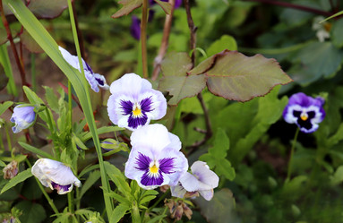 Similar image 21867386