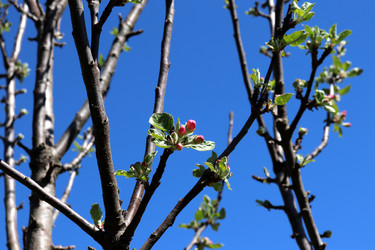 Similar image 21858226