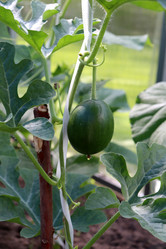 Similar image 21858228