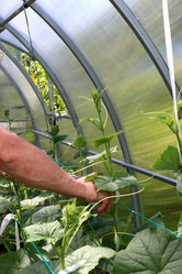 Similar image 21858229