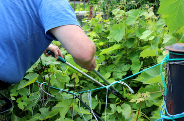 Similar image 21858230