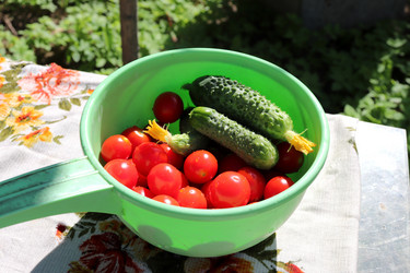 Similar image 21867387