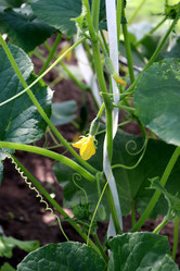 Similar image 21867388