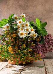 Similar image 21865518