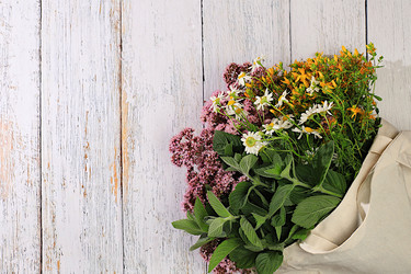 Similar image 21865519