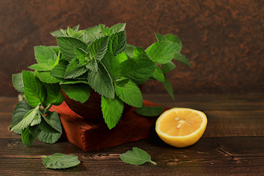 Similar image 21865525