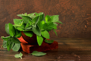 Similar image 21865528