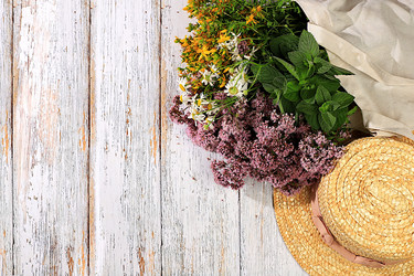 Similar image 21865531